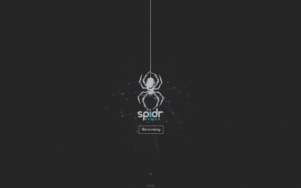 img of B2B Digital Marketing Agency - Spider Design, Inc.